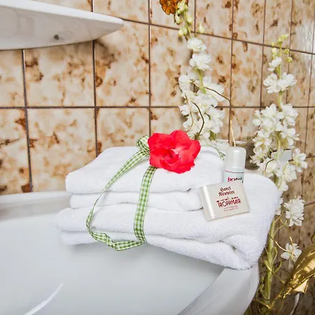 Hotel Neuwirt Finkenberg